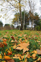 DSC02284.jpg