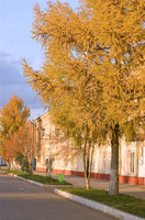 DSC011439m.jpg