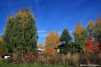 Осень в городе.jpg