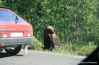 Поборы нв дорогах.JPG