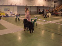 P9070068_s.JPG
