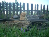 DSCN2366.JPG