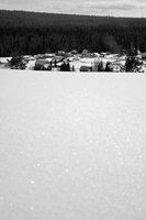 DSC_1016 4b winter.jpg