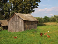 DSCF6351.JPG