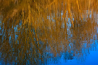 IMG_6743.jpg