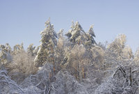 Panorama.jpg