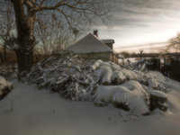 Утро-2010.jpg