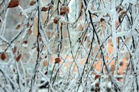 IMG_4854.JPG