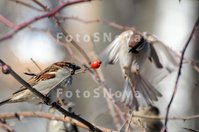 Avtopilot_DSC_9290-foto.jpg
