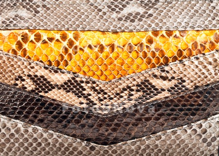 texture_skin_snake_pattern_mac