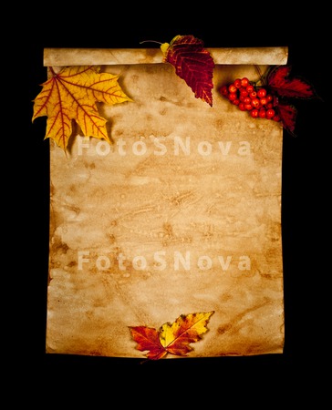 paper_copyspace_autumn_fall_ba