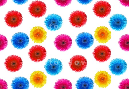 flowers_seamless_backgrounds_s