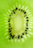 green_kiwi_fruit_food_eating_s