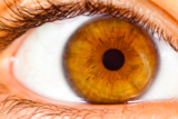 eye_macro_human_pupil_eyelash_