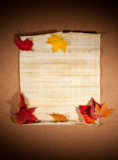 autumn_fall_backgrounds_life_c