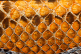 texture_skin_snake_pattern_mac