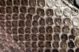 texture_skin_snake_pattern_mac