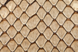 texture_skin_snake_pattern_mac