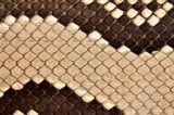 texture_skin_snake_pattern_mac