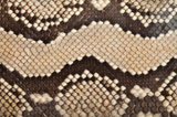 texture_skin_snake_pattern_mac