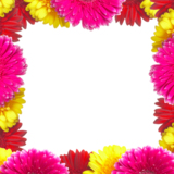 flowers_frames_backgrounds_spr