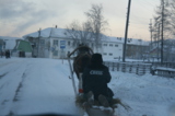 Зима,_лошадь,_сан