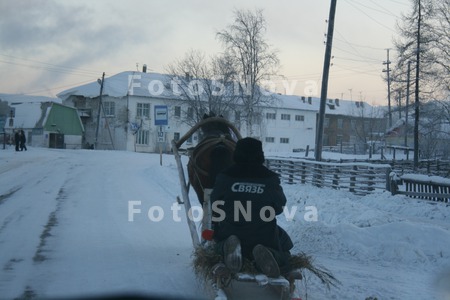 Зима,_лошадь,_сан