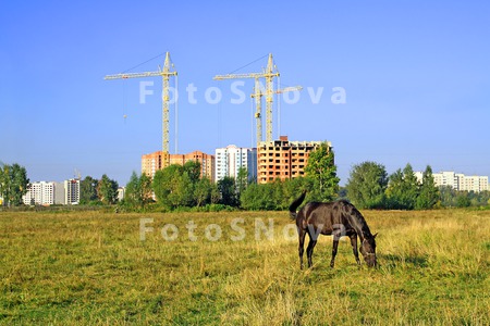 россия_пейзаж_по