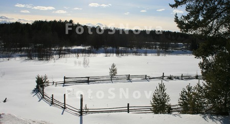 Север,_Коми,_дере