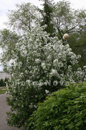 Омск,_весна,_улиц