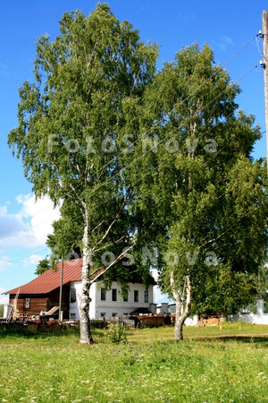 Село,_Великорецк