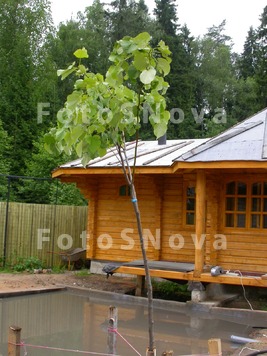 строительство_б�
