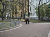 Москва,_Патриарш