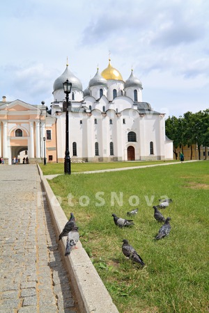 пейзаж_архитект