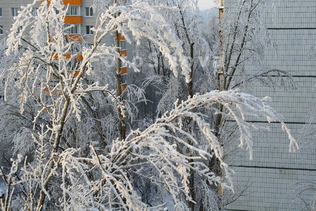 москва,_город,_го