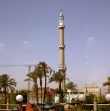 мечеть,_пальмы,_н