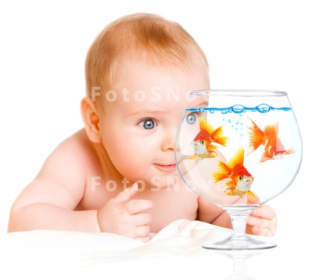 baby_child_goldfish_gold_curio