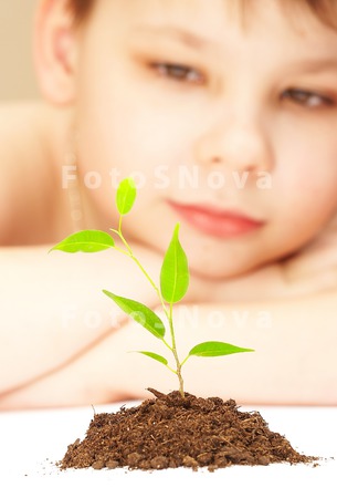 hands_plants_lives_growth_care