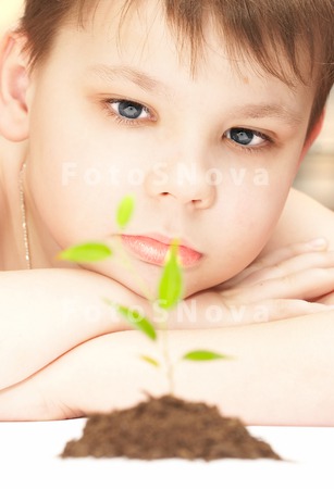 hands_plants_lives_growth_care