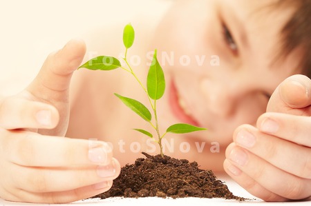 hands_plants_lives_growth_care