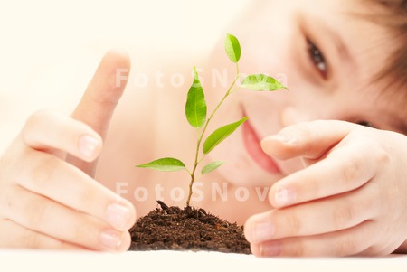 hands_plants_lives_growth_care