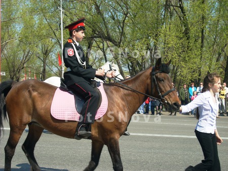 кадет,_лошадь,_па