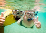 snorkeling_face_snorkel_mask_s