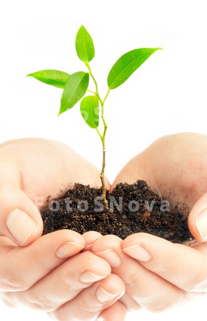 plants_hands_growth_concepts_n