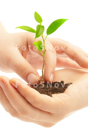 plants_hands_growth_concepts_n