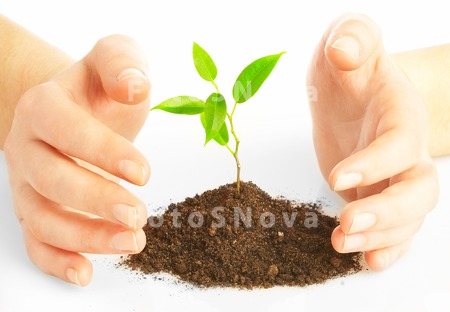 plants_hands_growth_concepts_n