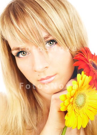 women_beauty_gerbera_female_fl