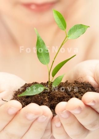 hands_plants_lives_growth_care