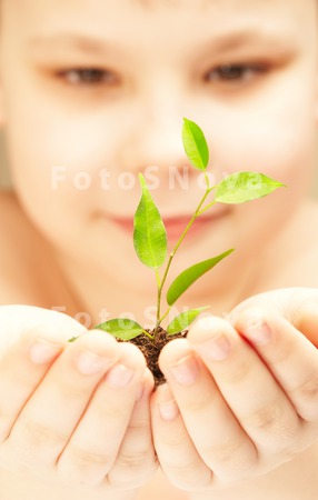 hands_plants_lives_growth_care