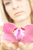 women_beauty_orchid_female_flo